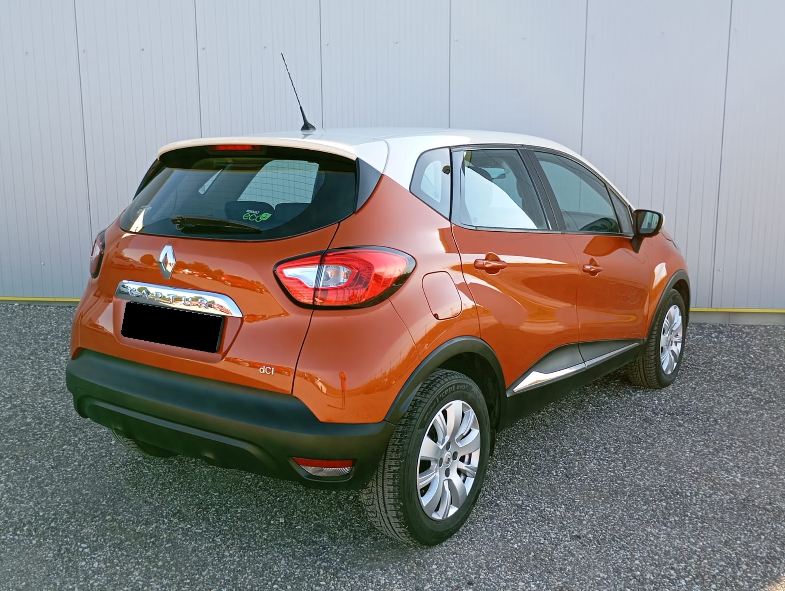 WhatsApp Image 2025-08-08 at 10.03.48