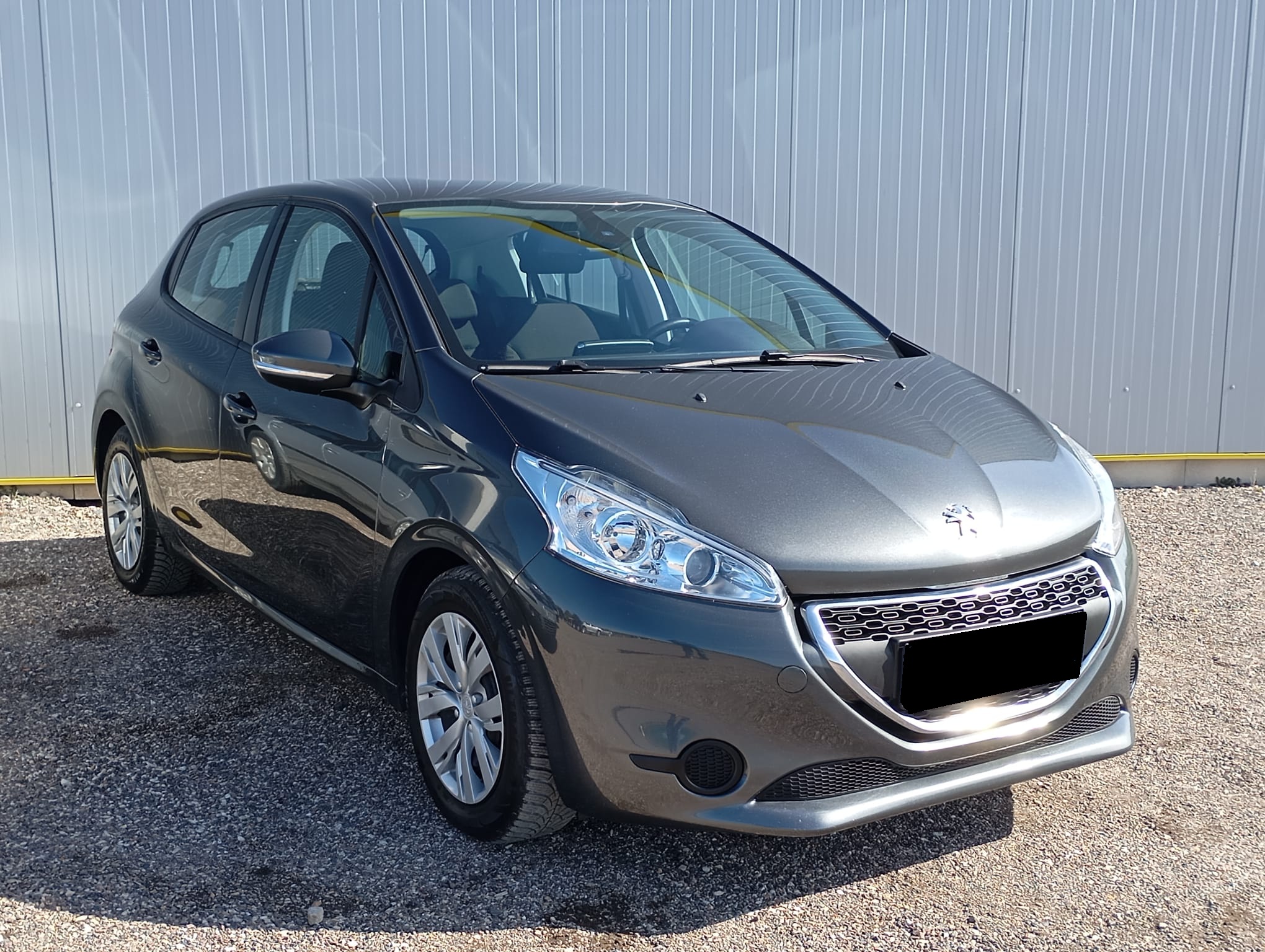 WhatsApp Image 2026-03-17 at 11.19.40 (1)